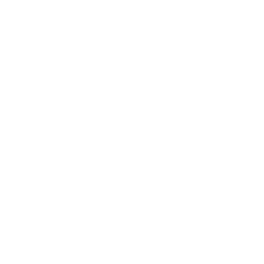 Minimalist Chic