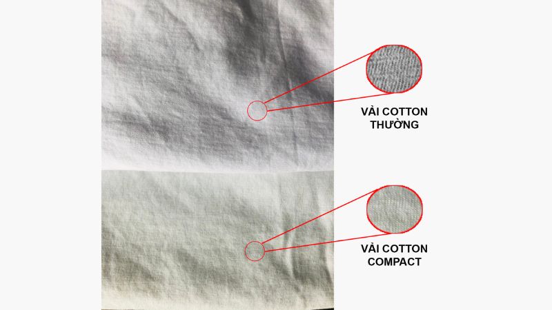 Cận cảnh bề mặt áo cotton thường và áo Cotton Compact