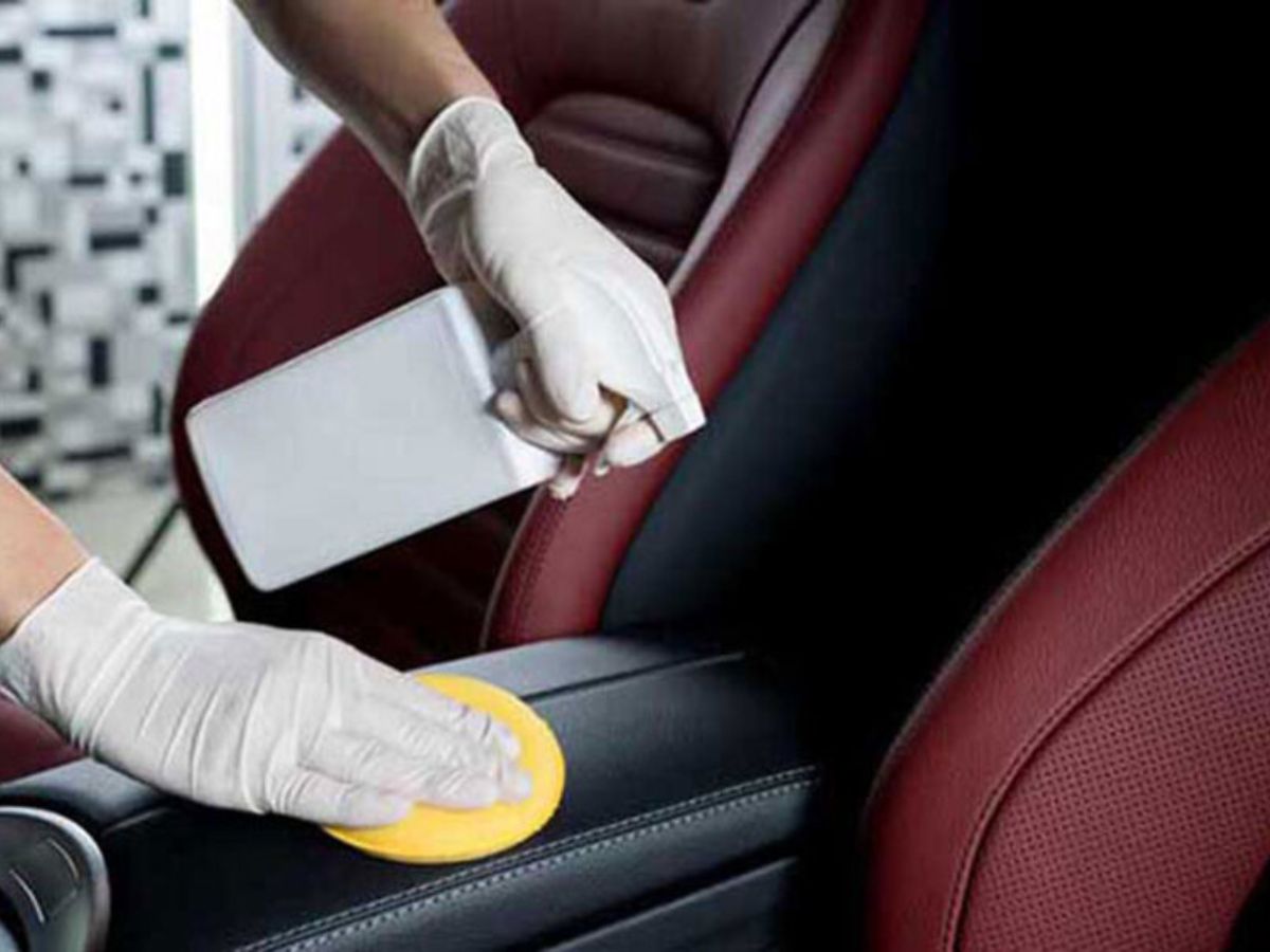 Da Nappa là gì? Khám phá A-Z về "Nữ hoàng" da thuộc