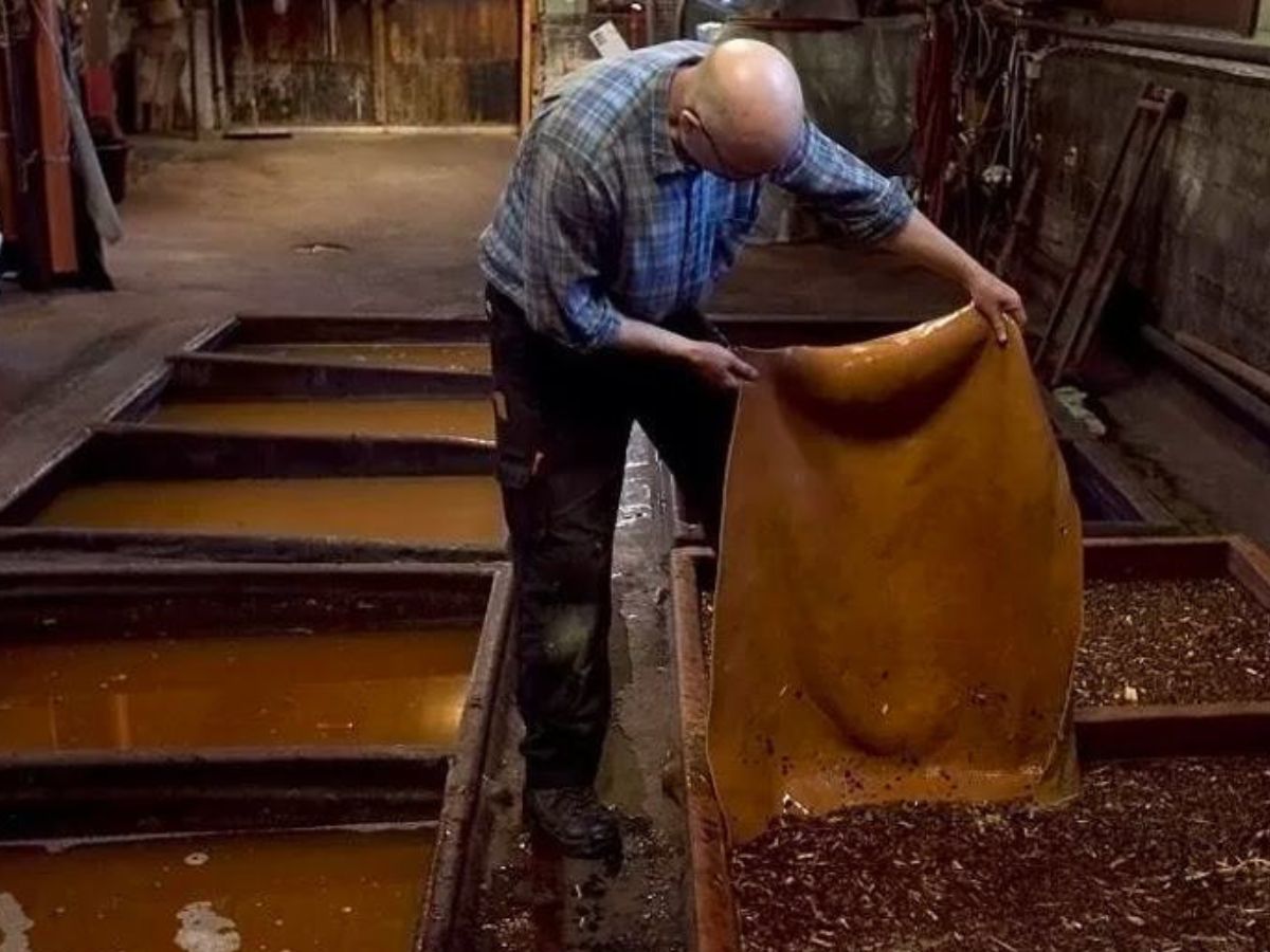 Da Nappa là gì? Khám phá A-Z về "Nữ hoàng" da thuộc