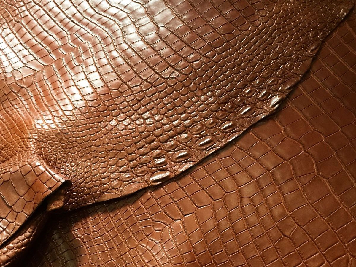 Da cá sấu là loại chất liệu đắt đỏ hiếm có