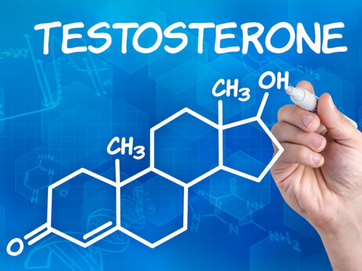 Testosterone và di truyền gây tăng dầu, bít tắc lỗ chân lông, hình thành mụn