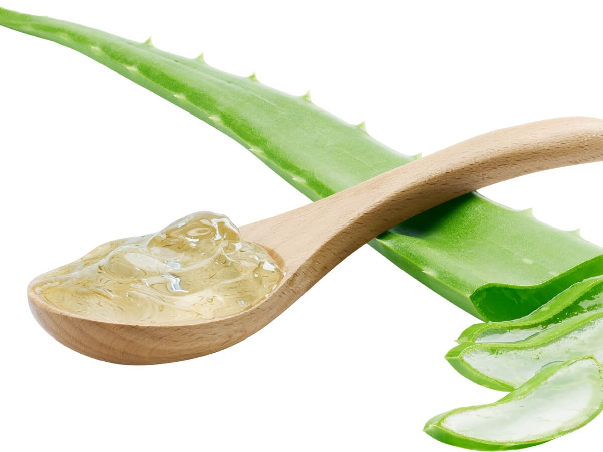 Trị mụn tại nhà cho nam bằng gel nha đam (lô hội)