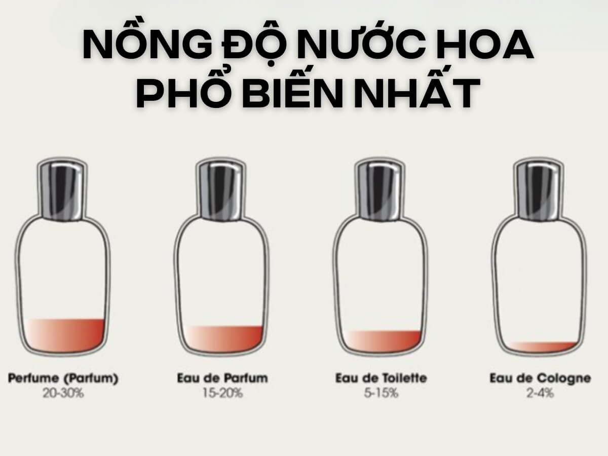 Phân loại nước hoa theo nồng độ tinh dầu