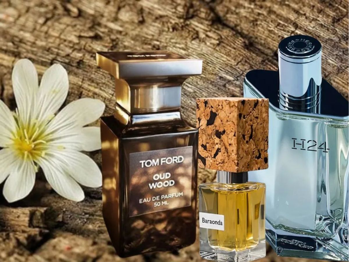 Các nhóm hương mang cảm giác sảng khoái và sạch sẽ