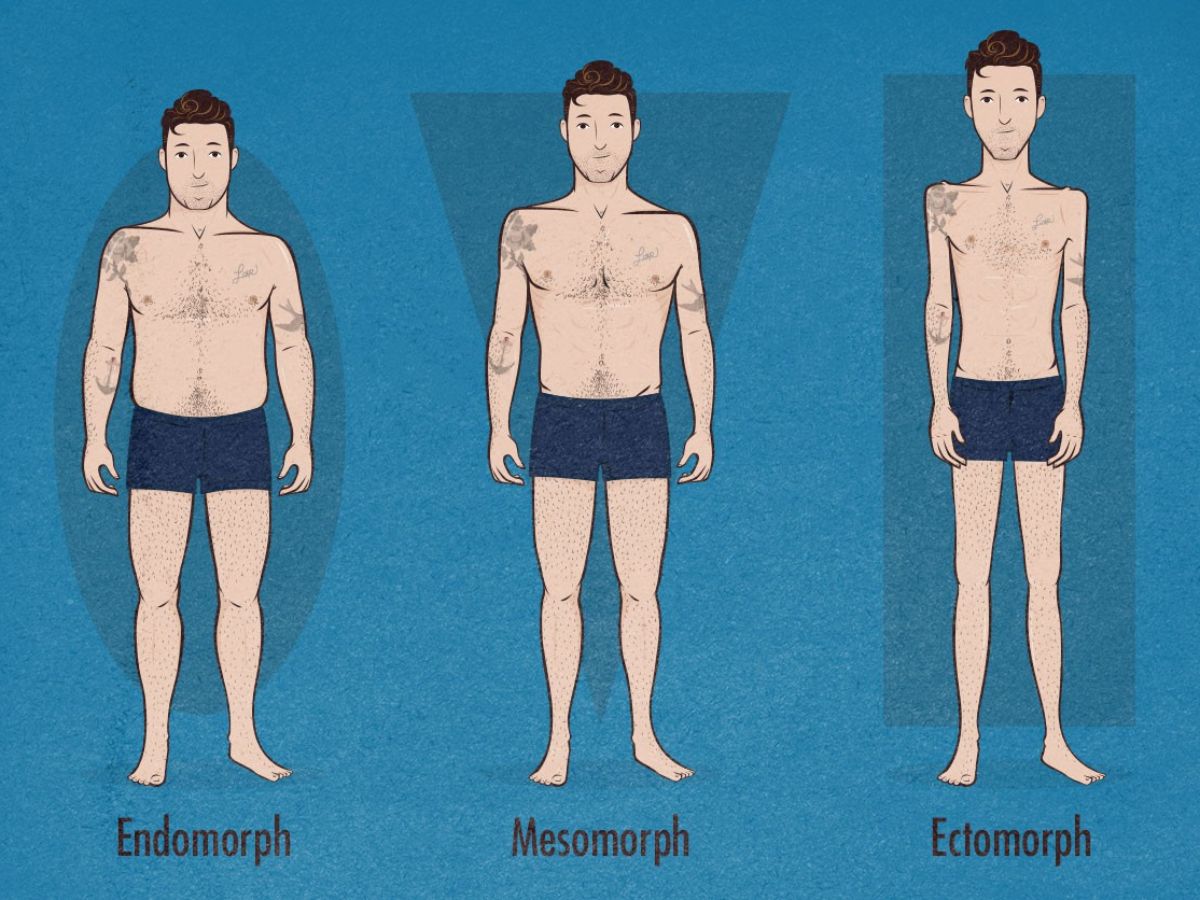 Ectomorph là thuật ngữ chỉ một trong ba tạng người phổ biến, đặc trưng bởi vóc dáng gầy, mảnh khảnh