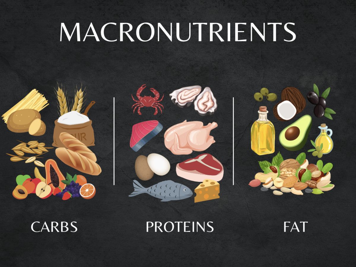 Tỷ lệ dinh dưỡng đa lượng khuyến nghị