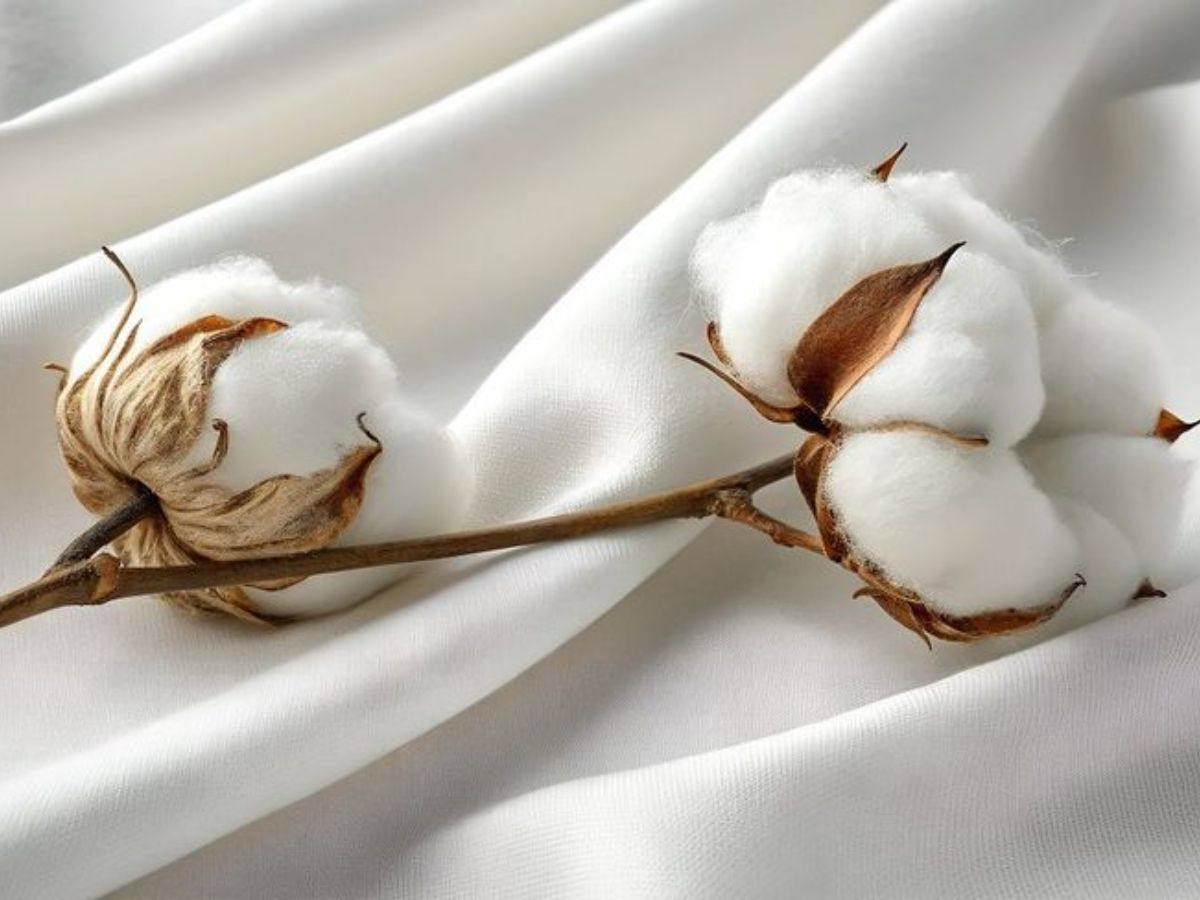 Supima cotton là loại vải đặc biệt nên cách chăm sóc cũng khác biệt