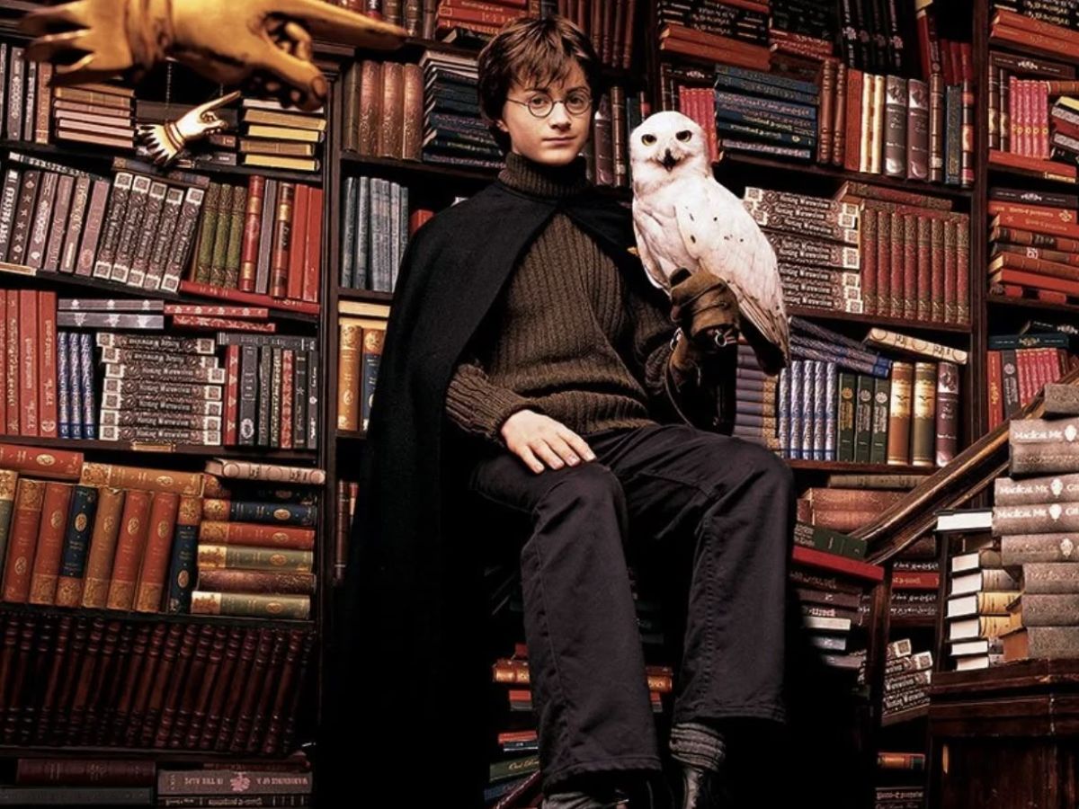 Xem Harry Poster có thể giúp bạn hiểu hơn về Dark Academia là gì