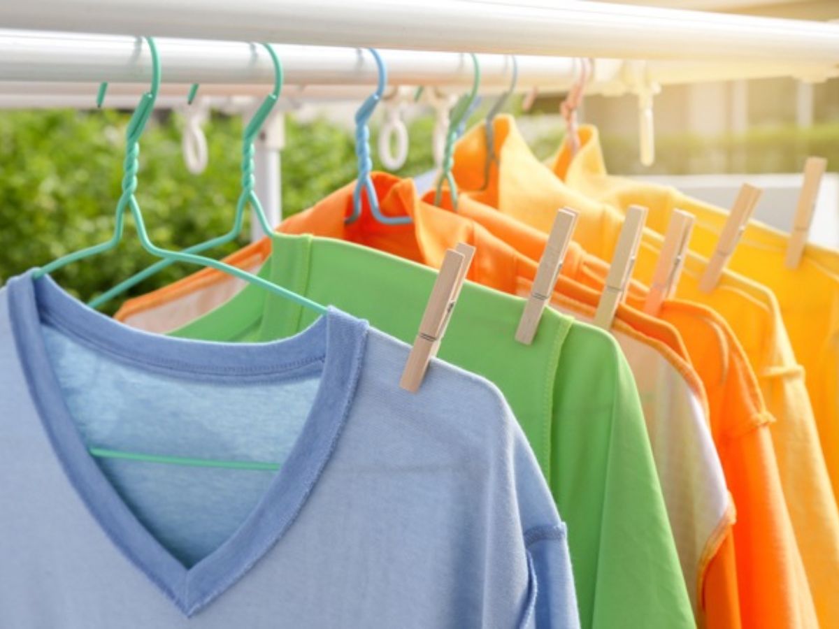 Phơi ở nơi thoáng mát, tránh ánh nắng gắt trực tiếp