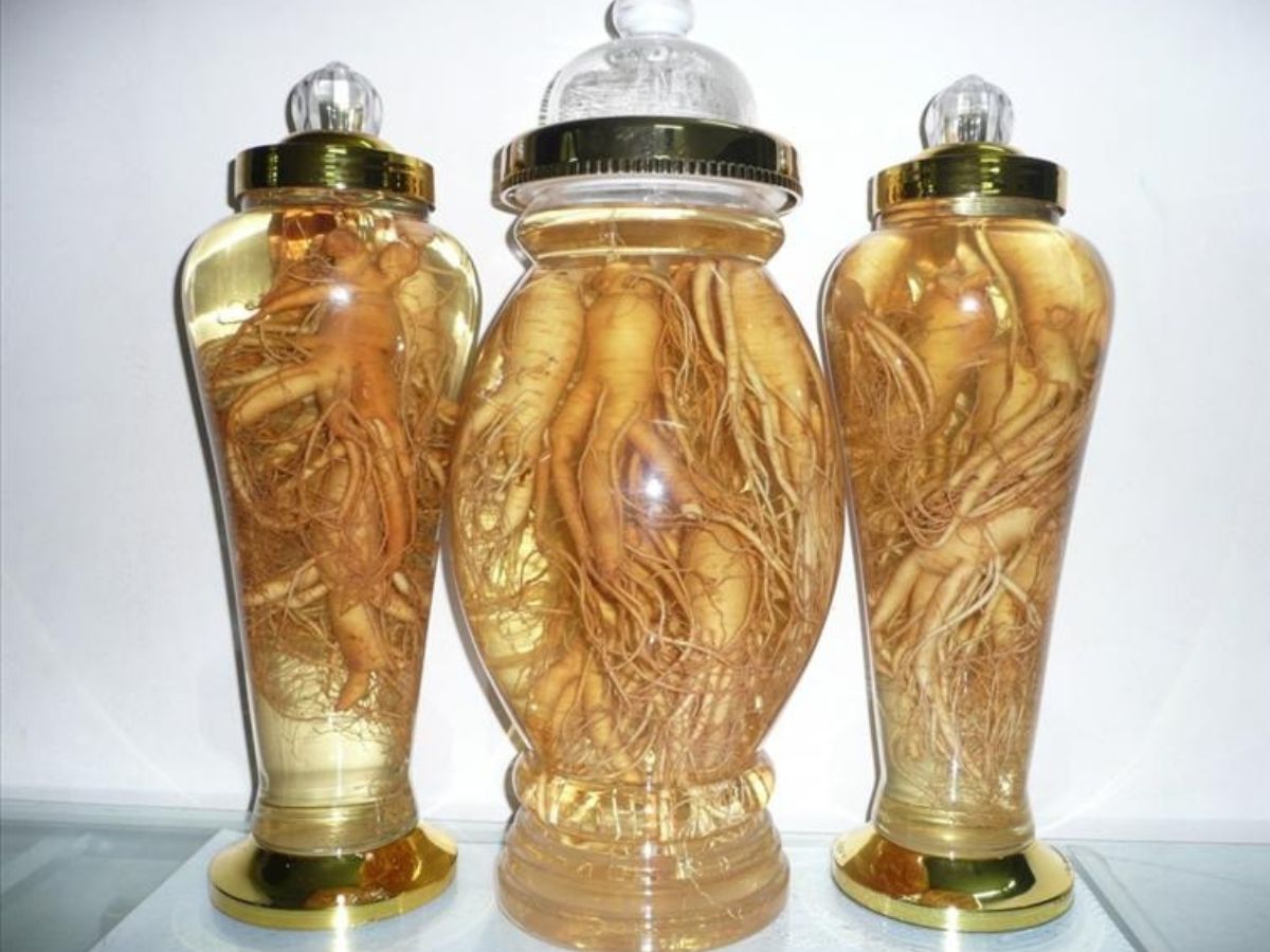 các loại rượu ngâm tốt cho nam giới