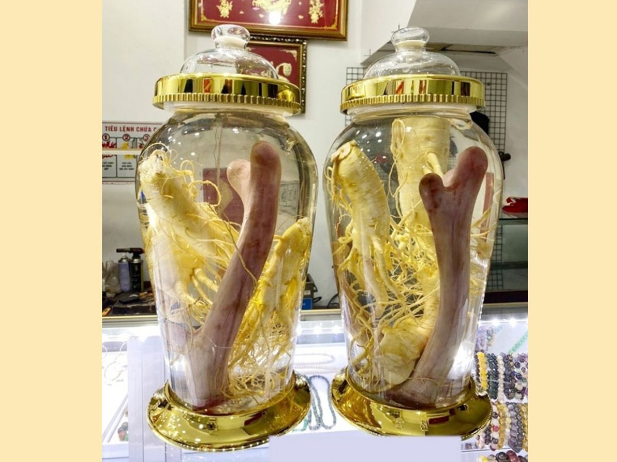 các loại rượu ngâm tốt cho nam giới