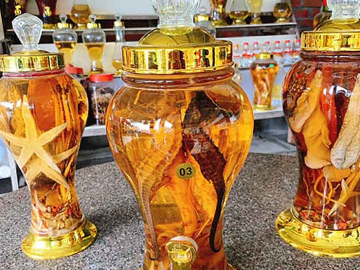 các loại rượu ngâm tốt cho nam giới