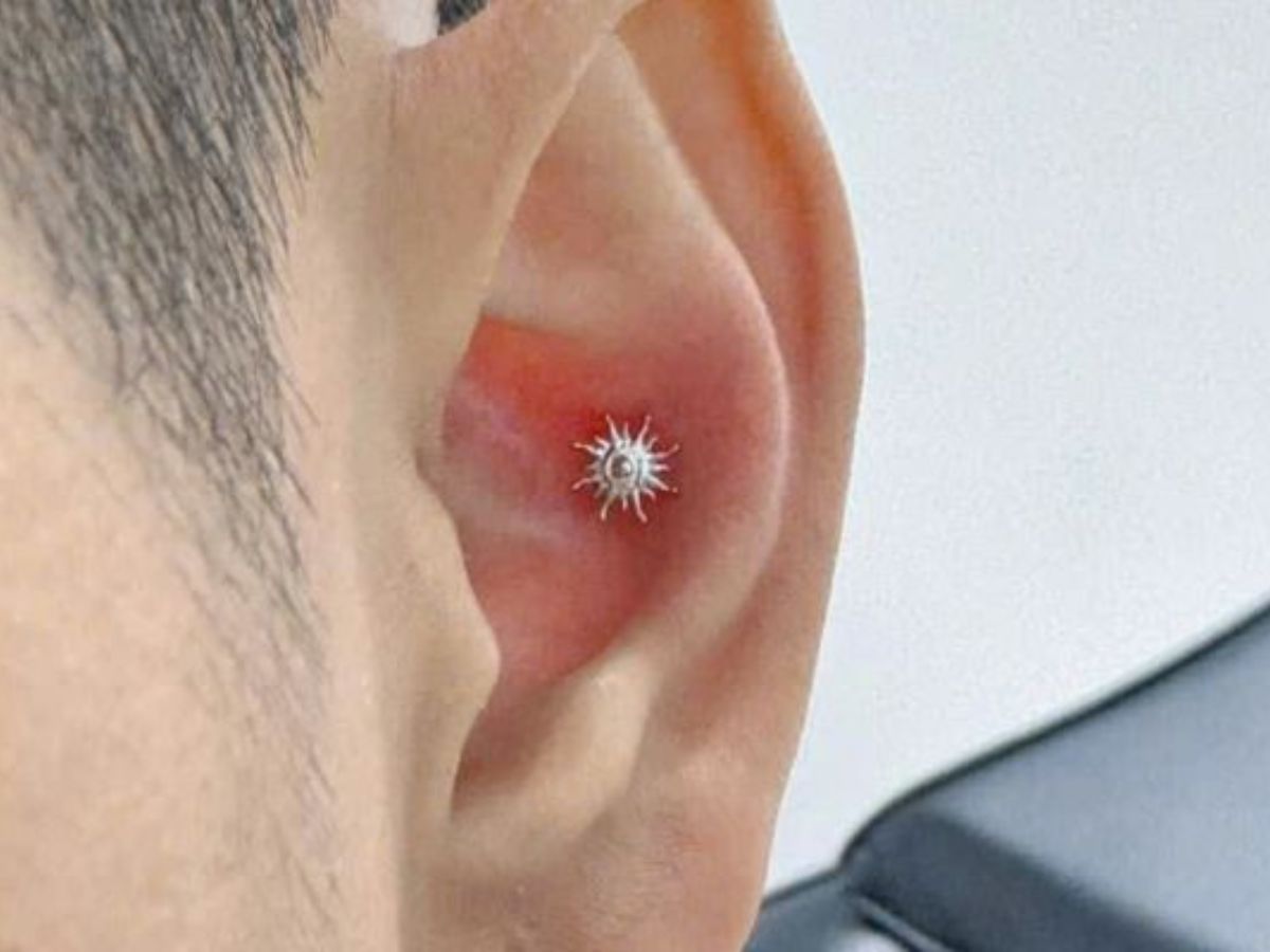 Conch là vị trí xỏ qua phần sụn lớn và sâu nhất ở trung tâm tai