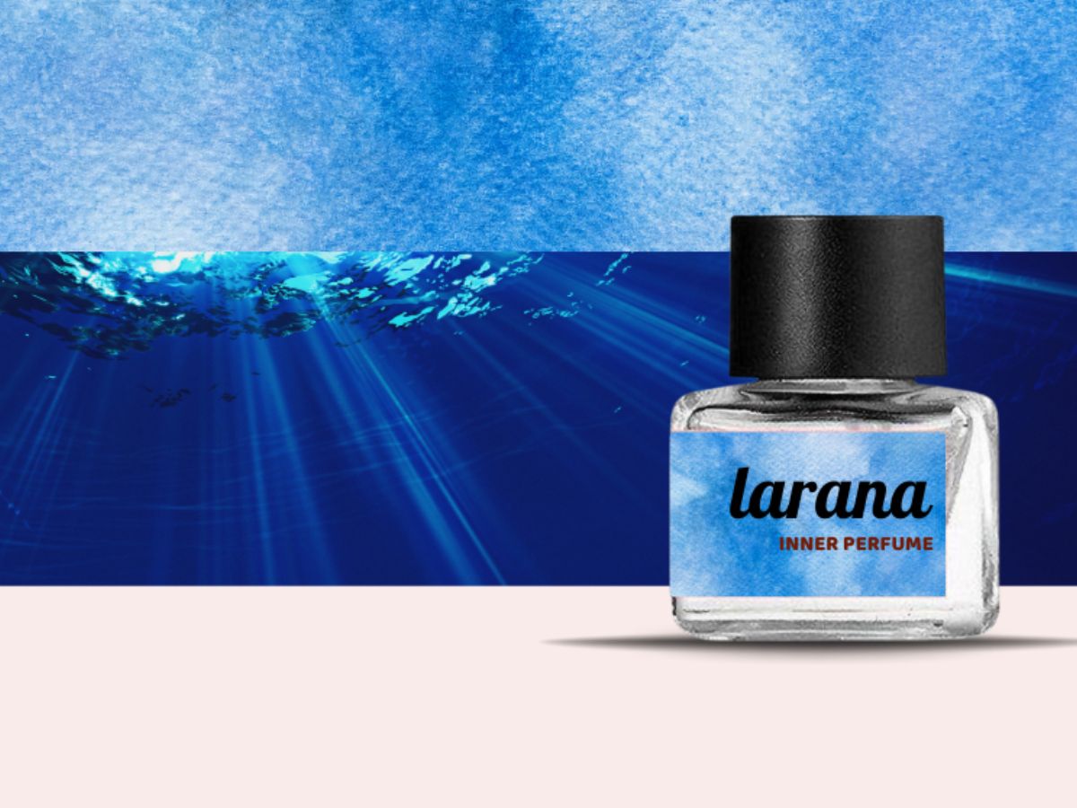 Nên xịt nước hoa vào mặt ngoài quần lót hoặc hai bên bẹn hoặc đùi trong