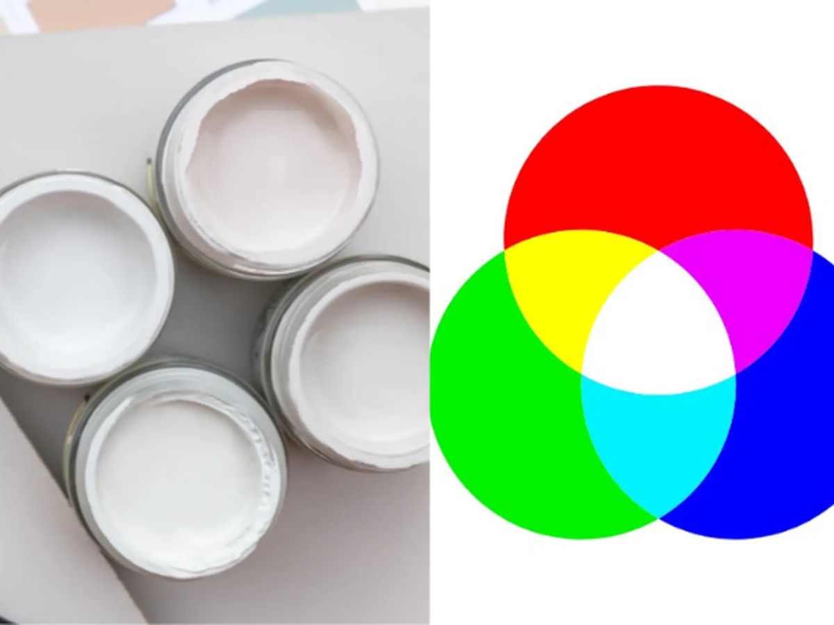 Màu Trắng Hợp Với Màu Gì? Cách Phối Đồ Sành Điệu Cho Nam Nữ