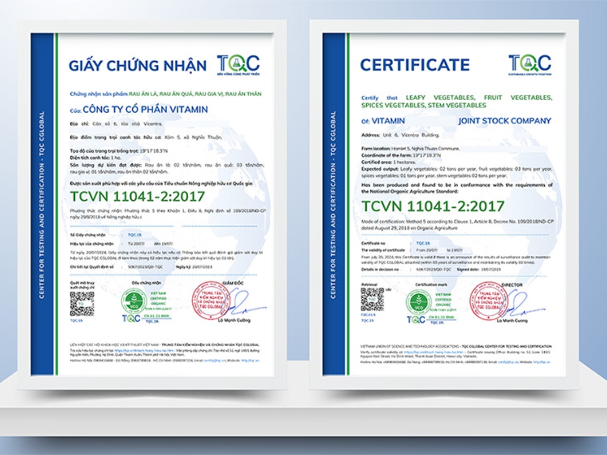 Cotton hữu cơ là gì?