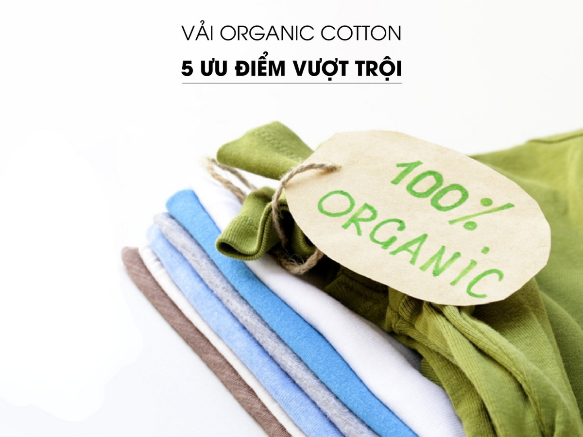 Cotton hữu cơ là gì?