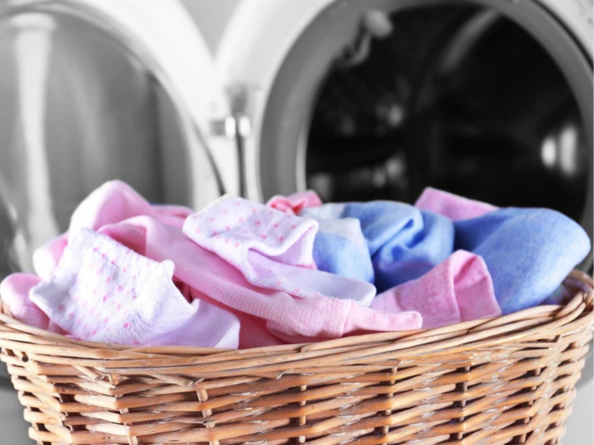 Cotton hữu cơ là gì?