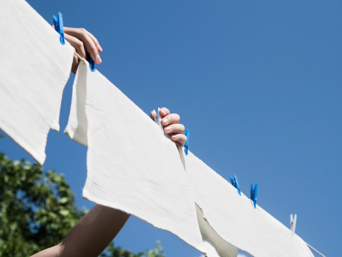 Vải Jeysey là gì?