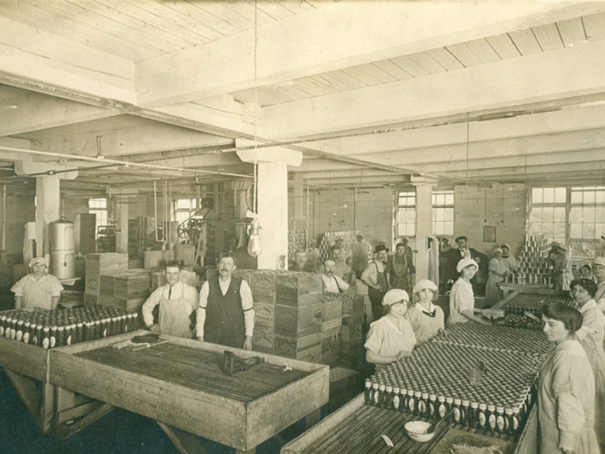 Vải Jeysey là gì?