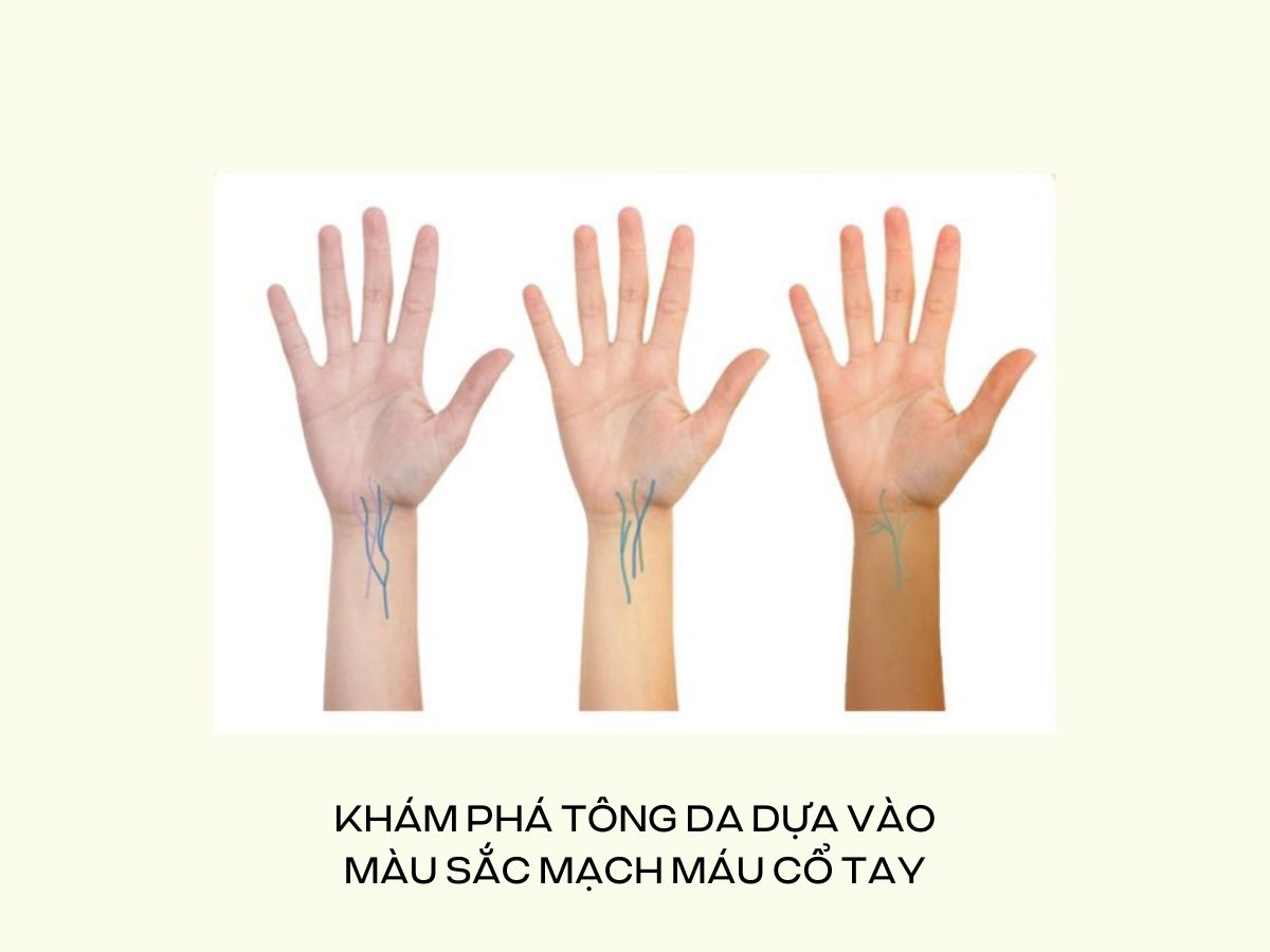 Khám phá tông da dựa vào màu sắc mạch máu cổ tay