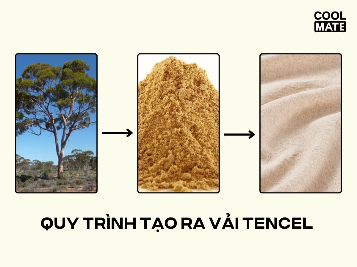 Vải tencel được làm từ bột gỗ