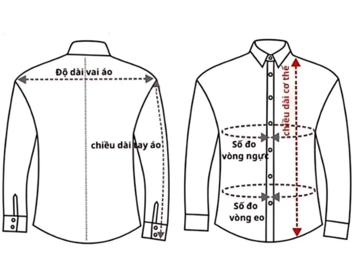 Infographic đơn giản hướng dẫn cách đo vai, ngực và tay áo trên cơ thể