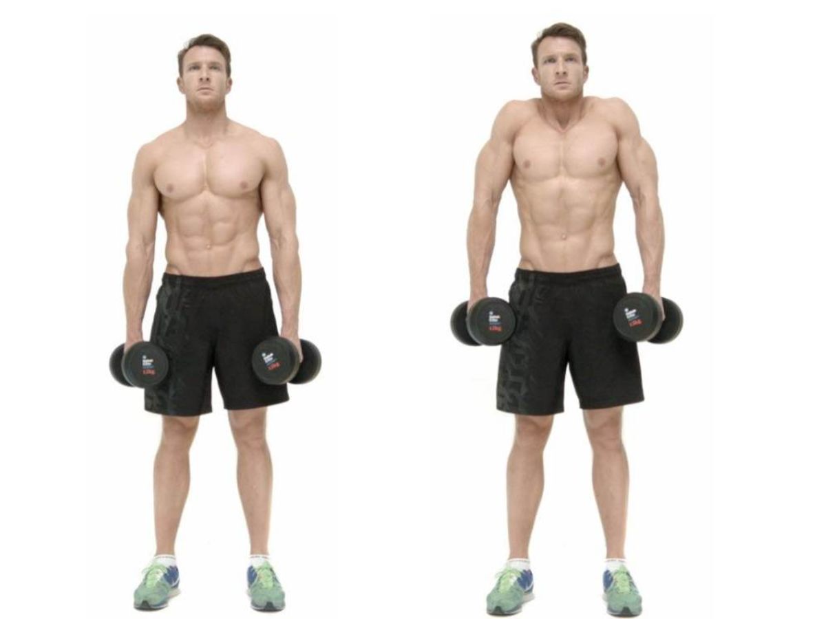 Nhún vai với tạ đơn vua của mọi bài tập cầu vai trên