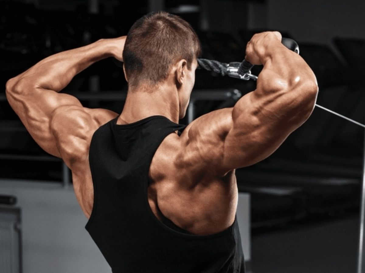 Kéo cáp mặt phát triển cầu vai giữa, vai sau & cải thiện tư thế