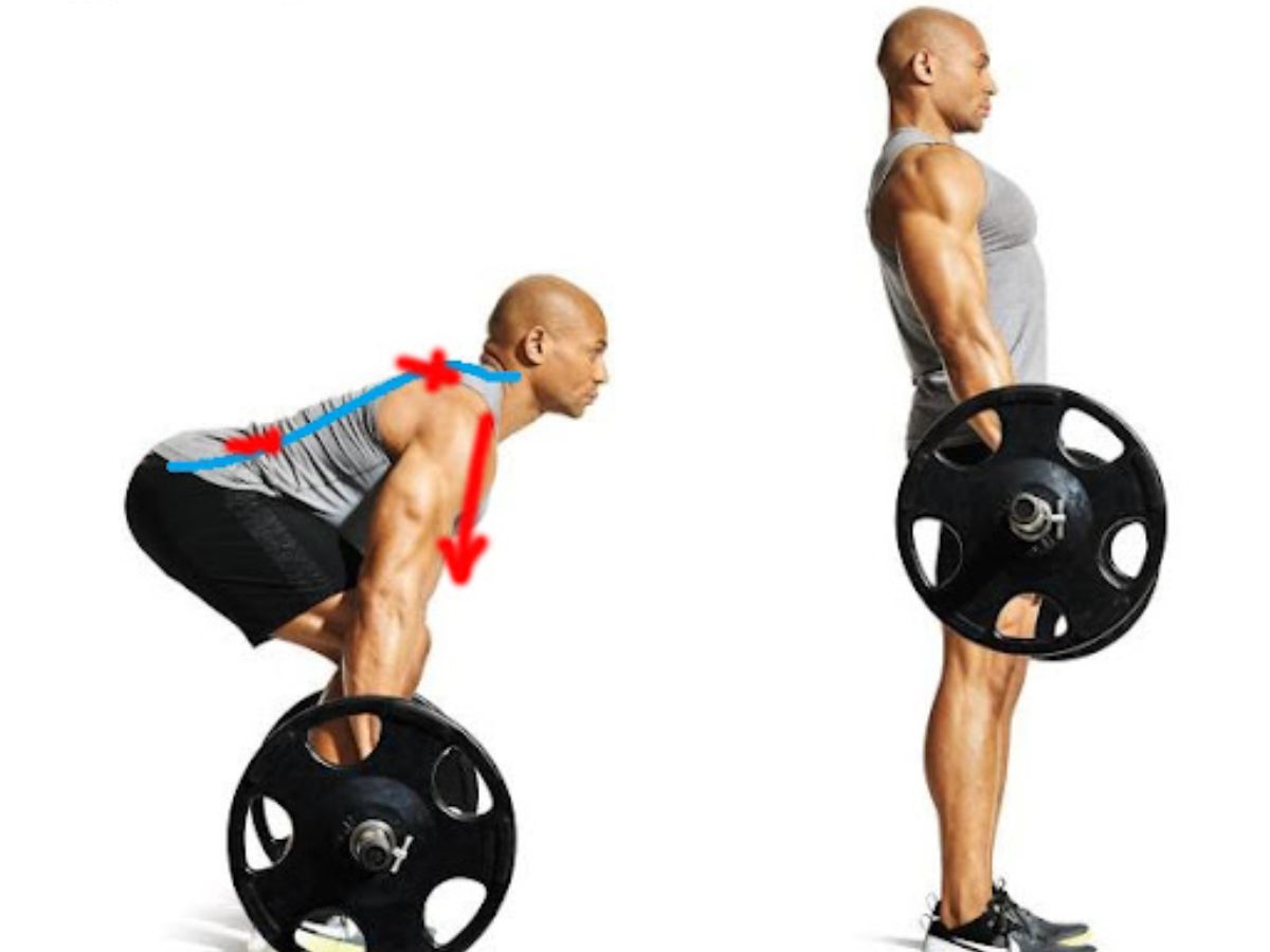 Kéo một phần tạ đòn tăng sức mạnh cầu vai và lưng với tạ cực nặng