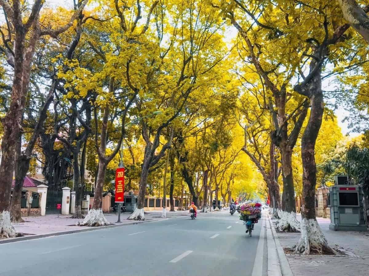 Mùa thu Hà Nội đẹp dịu dàng với may se lạnh và nắng vàng 
