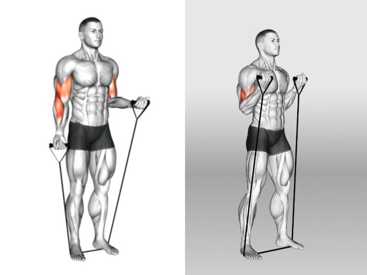 Bài tập Bicep Curls