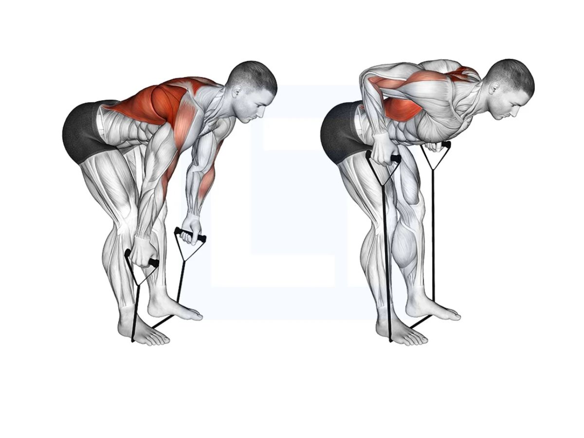 Bent-Over Row giúp lưng khỏe và săn chắc