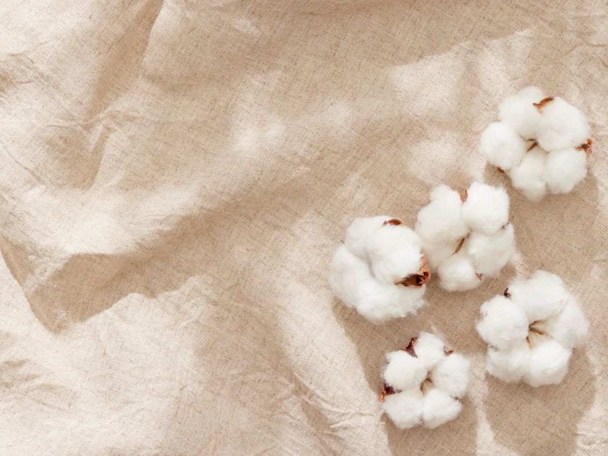 Vải cotton là gì? Đó chính là vải được làm từ sợi bông tự nhiên