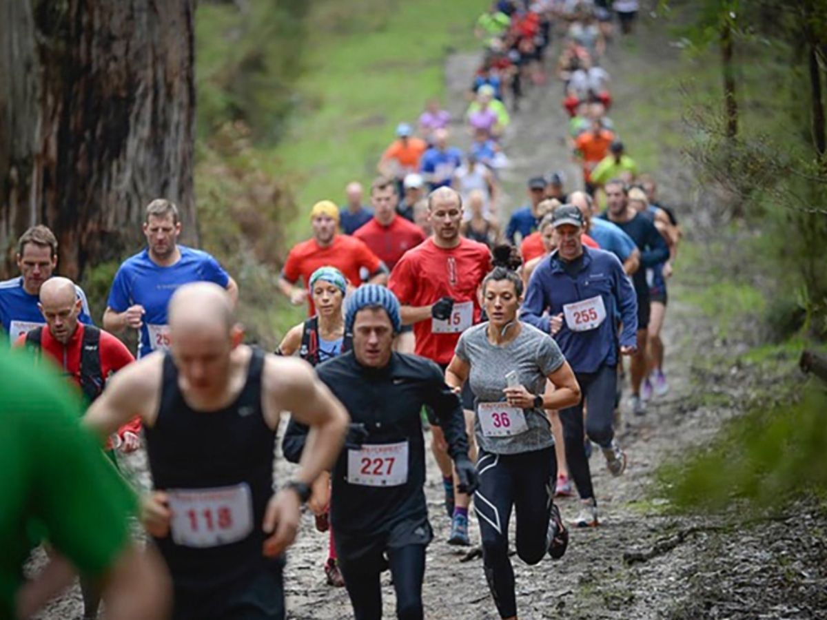 Những đặc điểm nổi bật của chạy trail