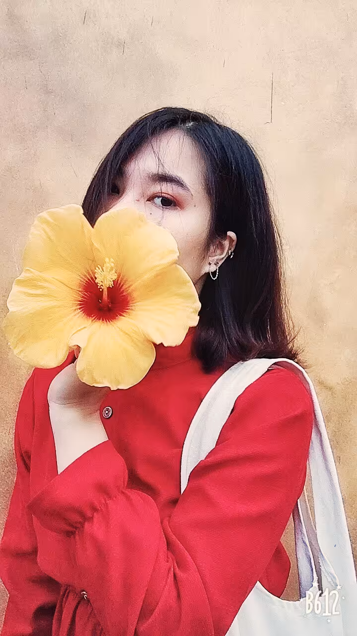 Sisu