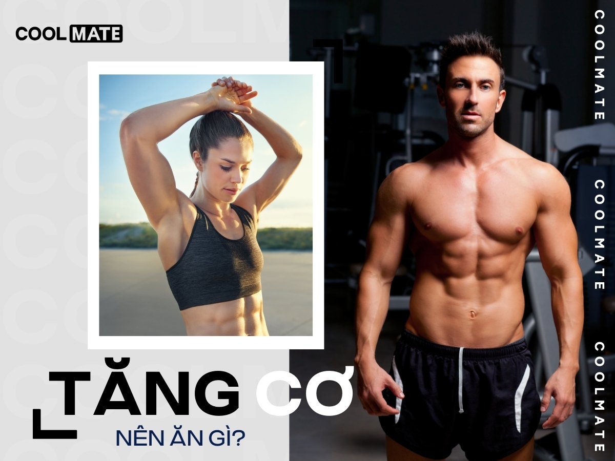 Tăng cơ nên ăn gì? Gợi ý chế độ ăn chuẩn khoa học cho gymer