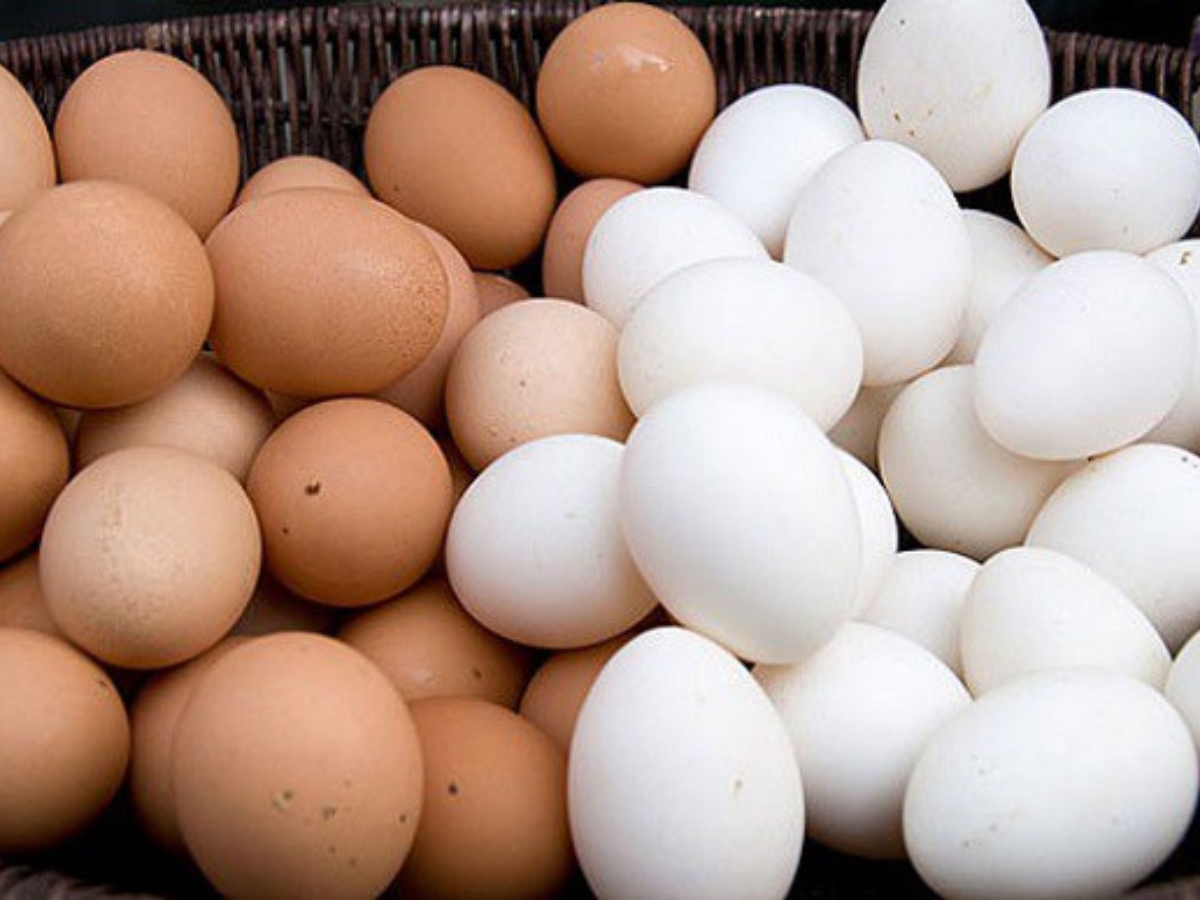 1 quả trứng bao nhiêu calo