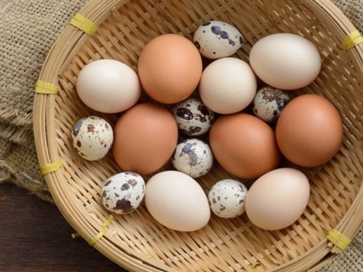 1 quả trứng bao nhiêu calo