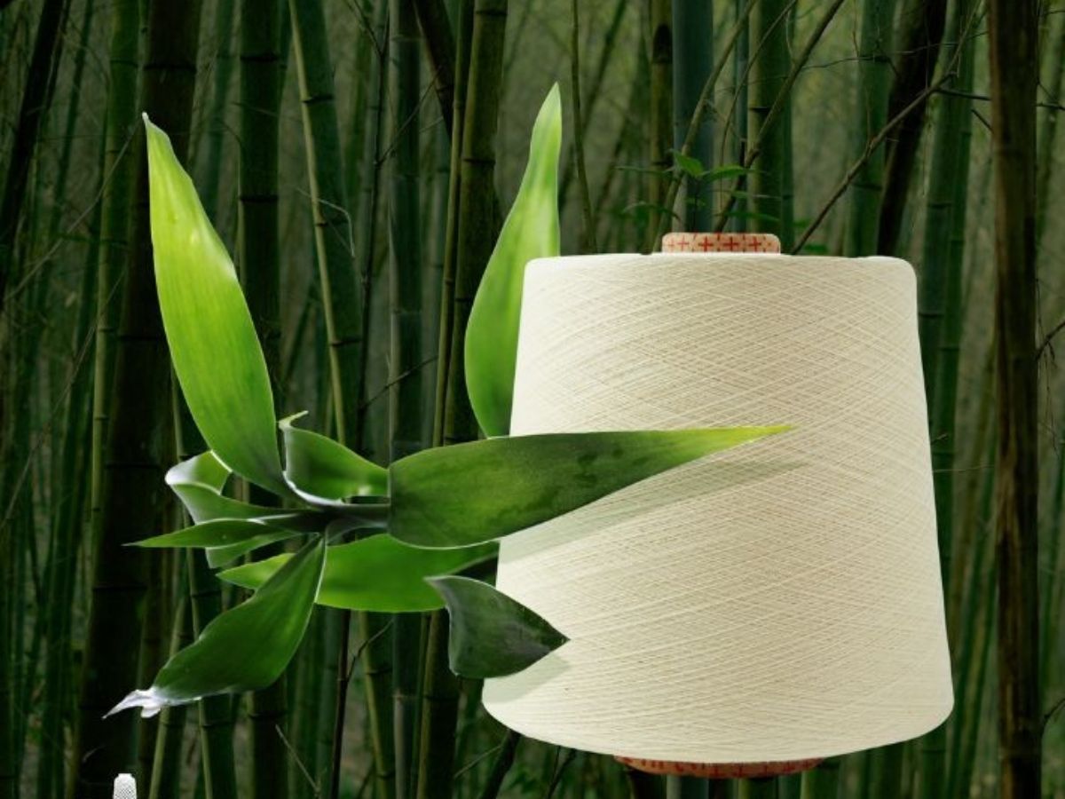 Vải bamboo là gì? Tìm hiểu từ A-Z về định nghĩa, ưu/nhược điểm