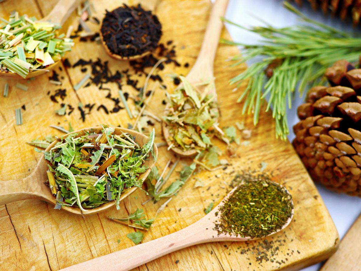 Tặng quà từ thảo mộc như một cách nhắc nhở về sức khoẻ