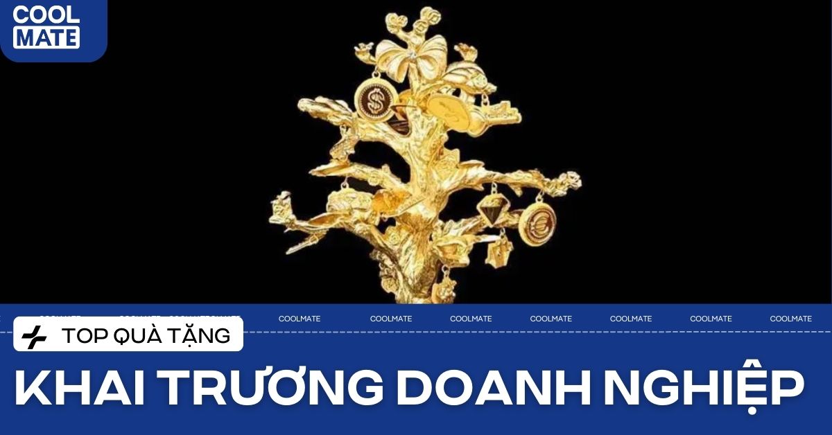 Top 20+ Quà Tặng Doanh Nghiệp Khai Trương Ý Nghĩa, Độc Đáo 2026