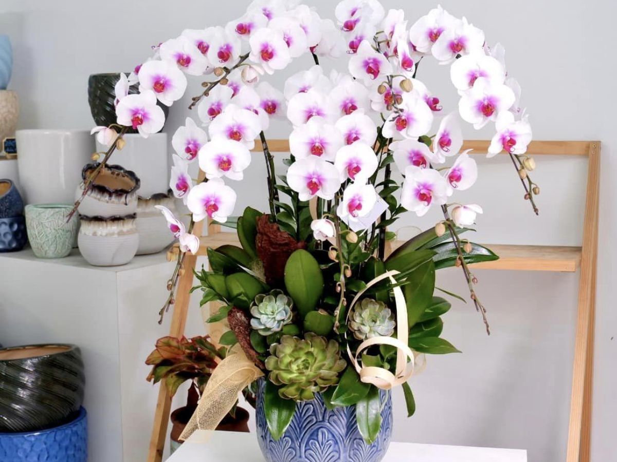 Cân đối ngân sách quà tặng ý nghĩa không nhất thiết phải đắt đỏ